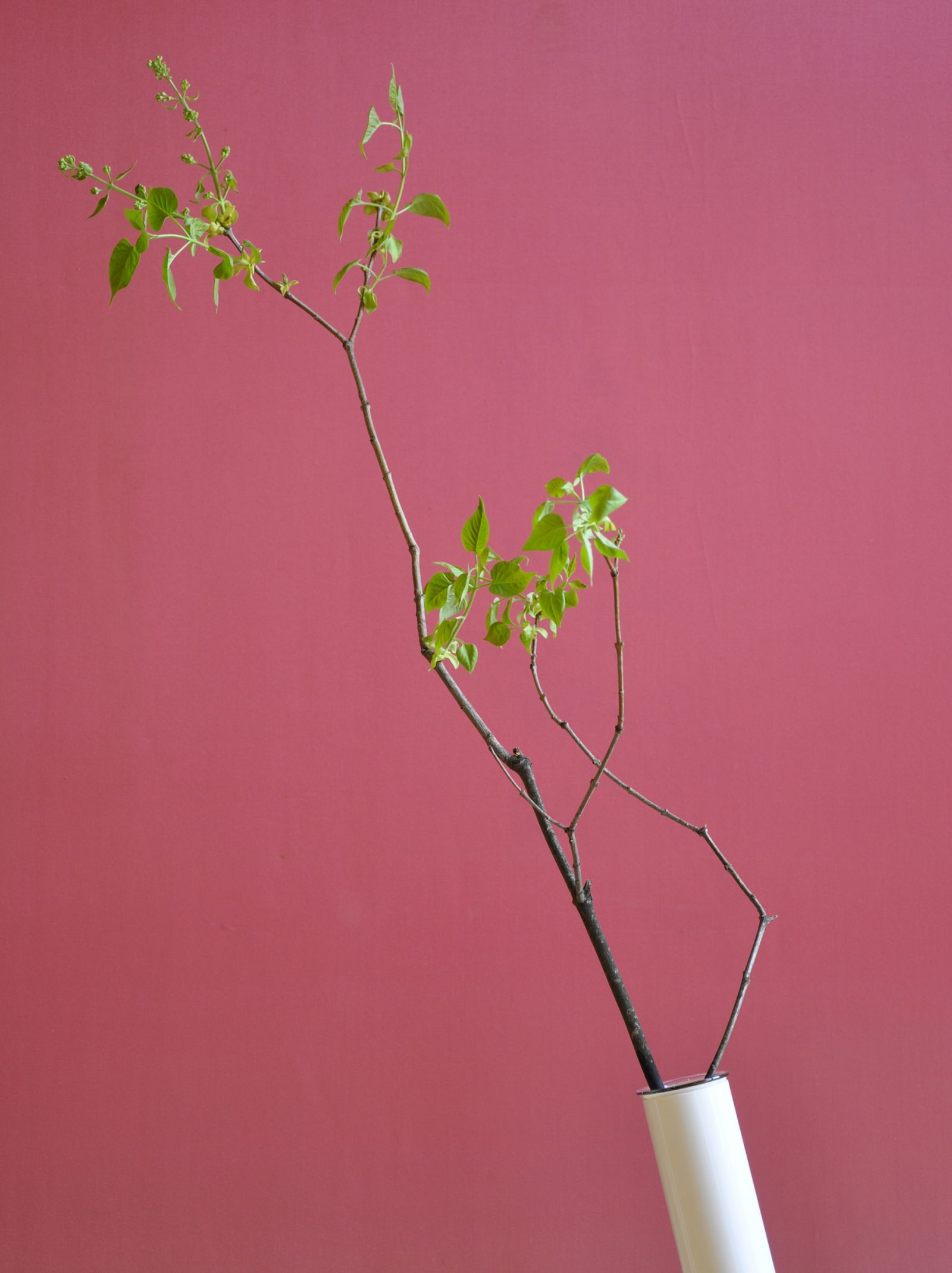 Cutting vase Outdoor for Ligne Roset LOUDORDESIGN studio JeanFrançois D'Or Industrial